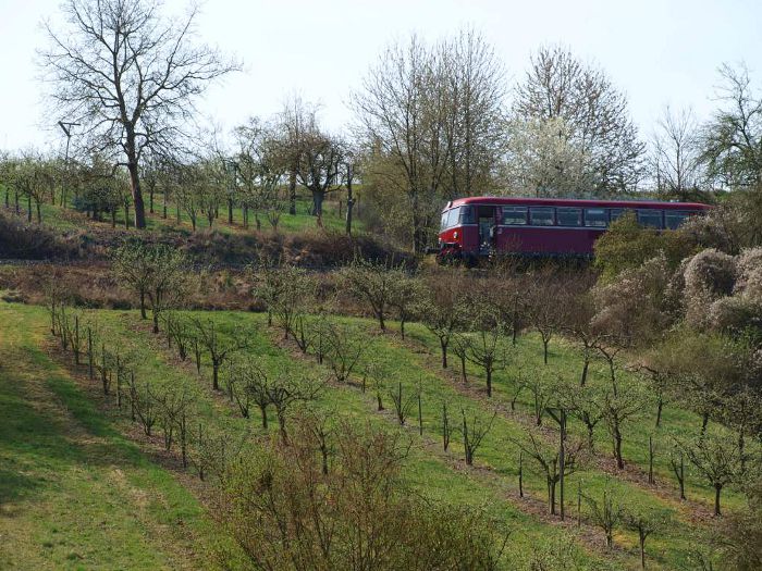 Volkacher Mainschleifenbahn